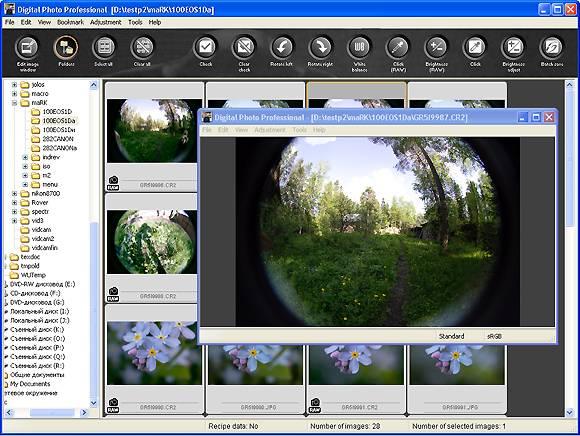 Digital Photo Professional