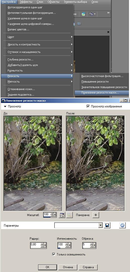 Corel Paint Shop Pro Photo X2