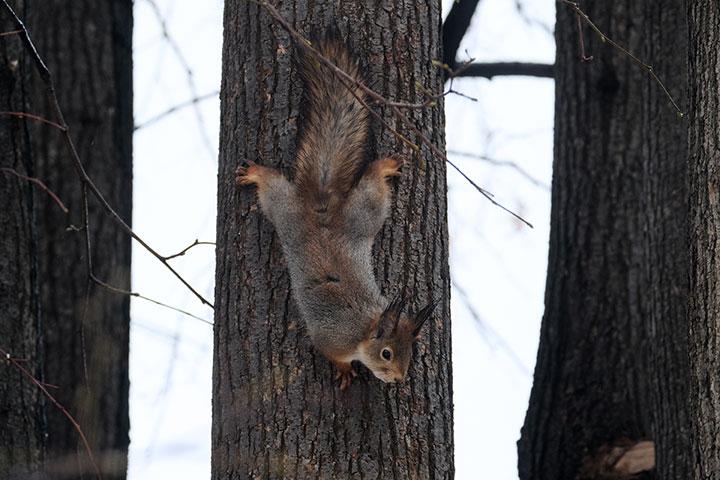 Объектив Fujinon XF100-400mm F4.5-5.6 R LM OIS WR:, фото 27