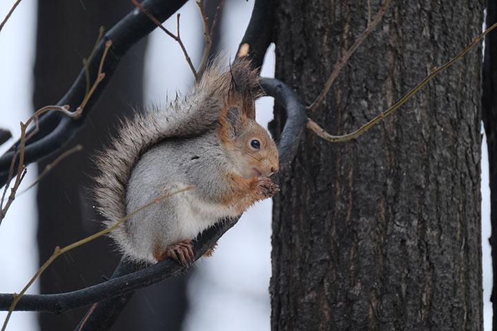 Объектив Fujinon XF100-400mm F4.5-5.6 R LM OIS WR:, фото 28