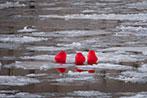 Объектив Fujinon XF100-400mm F4.5-5.6 R LM OIS WR:, фото 57