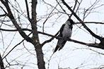 Объектив Fujinon XF100-400mm F4.5-5.6 R LM OIS WR:, фото 59