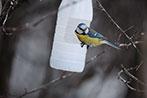 Объектив Fujinon XF100-400mm F4.5-5.6 R LM OIS WR:, фото 60