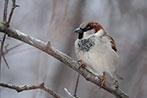 Объектив Fujinon XF100-400mm F4.5-5.6 R LM OIS WR:, фото 61