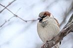 Объектив Fujinon XF100-400mm F4.5-5.6 R LM OIS WR:, фото 62