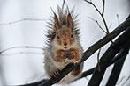 Объектив Fujinon XF100-400mm F4.5-5.6 R LM OIS WR:, фото 64