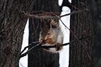 Объектив Fujinon XF100-400mm F4.5-5.6 R LM OIS WR:, фото 65