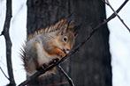 Объектив Fujinon XF100-400mm F4.5-5.6 R LM OIS WR:, фото 66