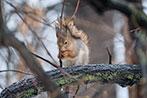 Объектив Fujinon XF100-400mm F4.5-5.6 R LM OIS WR:, фото 67