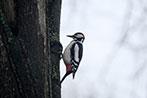 Объектив Fujinon XF100-400mm F4.5-5.6 R LM OIS WR:, фото 68