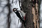 Объектив Fujinon XF100-400mm F4.5-5.6 R LM OIS WR:, фото 69