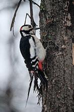 Объектив Fujinon XF100-400mm F4.5-5.6 R LM OIS WR:, фото 73