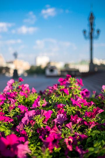 Объектив Fujinon XF 23mm F1,4 R для камер Fujifilm с матрицами APS-C:, фото 12