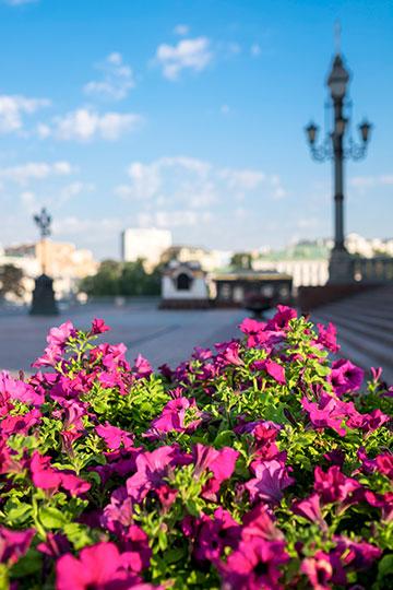 Объектив Fujinon XF 23mm F1,4 R для камер Fujifilm с матрицами APS-C:, фото 13
