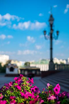 Объективы Fujinon XF 35mm F1,4 R и Fujinon XF 35mm F2 R WR для камер Fujifilm с матрицами APS-C:, фото 26