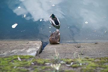 Объективы Fujinon XF 56mm F1.2 R и Fujinon XF 56mm F1.2 R APD:, фото 29