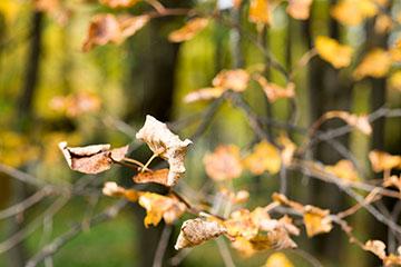 Объективы Fujinon XF 56mm F1.2 R и Fujinon XF 56mm F1.2 R APD:, фото 65