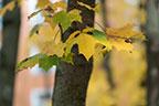 Объективы Fujinon XF 56mm F1.2 R и Fujinon XF 56mm F1.2 R APD:, фото 85