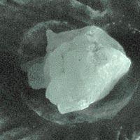 фрагмент, УФ лампа, ночной режим