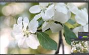 Полнокадровая беззеркальная фотокамера Leica SL (Typ 601):, фото 159