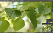 Полнокадровая беззеркальная фотокамера Leica SL (Typ 601):, фото 167