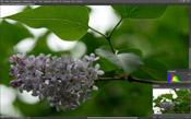 Полнокадровая беззеркальная фотокамера Leica SL (Typ 601):, фото 154