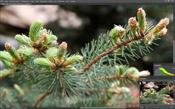 Полнокадровая беззеркальная фотокамера Leica SL (Typ 601):, фото 157