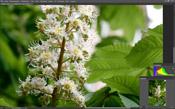 Полнокадровая беззеркальная фотокамера Leica SL (Typ 601):, фото 181