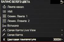 Полнокадровая беззеркальная фотокамера Leica SL (Typ 601):, фото 16