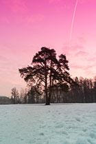 Зеркальная фотокамера начального уровня Nikon D3400:, фото 126