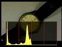 Nikon D100