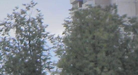Nikon Coolpix P100, фото 34