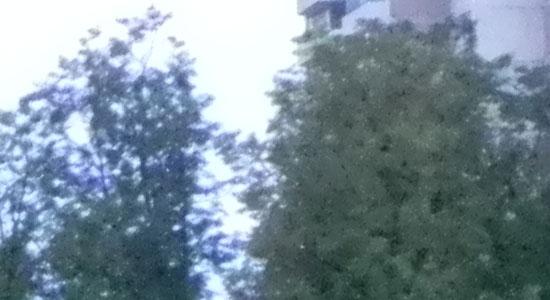 Nikon Coolpix P100, фото 40