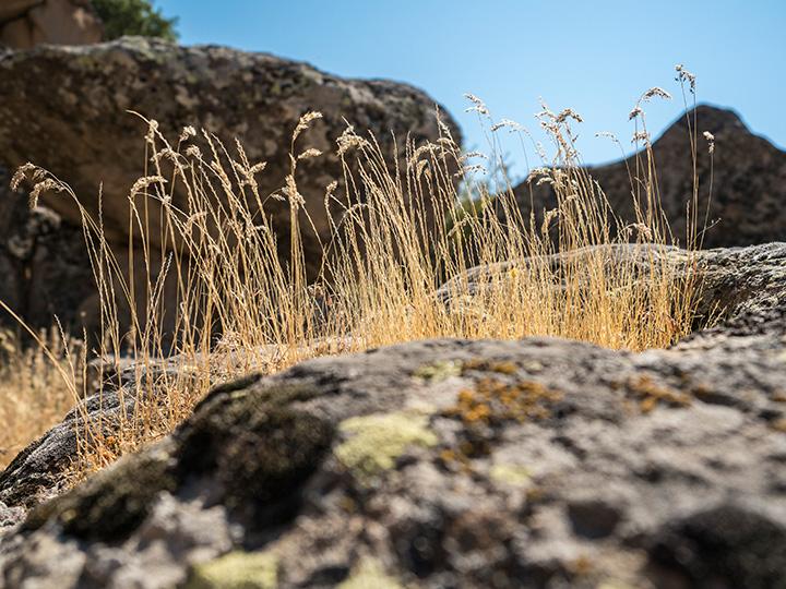 Объектив Olympus M.Zuiko Digital ED 12-40mm F2.8 Pro для фотокамер стандарта MFT (Micro Four Thirds):, фото 12