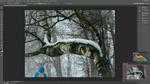 Флагманская беззеркальная камера Olympus OM-D E-M1:, фото 119