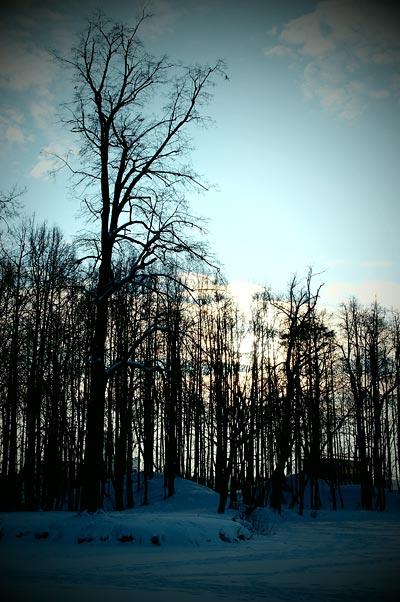 Samsung NX100:, фото 12