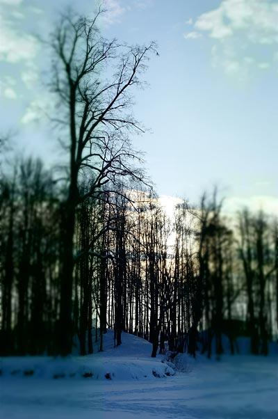 Samsung NX100:, фото 13