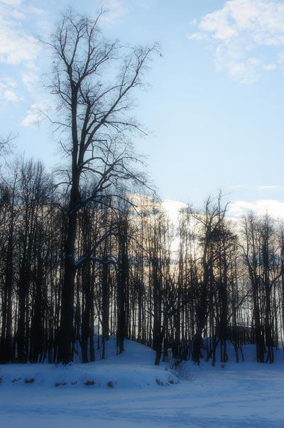 Samsung NX100:, фото 14