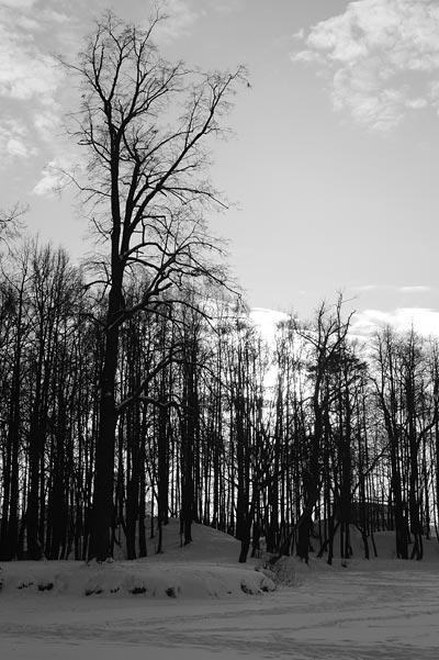 Samsung NX100:, фото 15