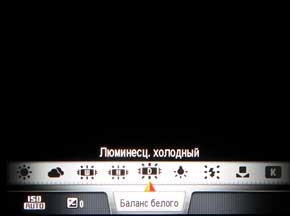 Samsung NX1000