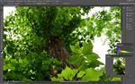 Объективы Samyang 10mm F2.8 и Samyang 16mm F2.0:, фото 22