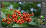 Объективы Samyang 10mm F2.8 и Samyang 16mm F2.0:, фото 51