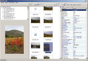 ExifTool GUI