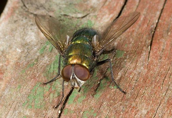 фото