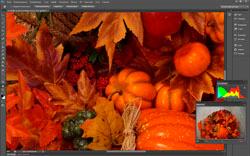 Первые в мире полнокадровые беззеркальные камеры Sony Alpha 7 и Alpha 7R:, фото 48