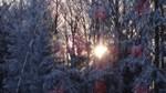 Автономный объектив Sony Cyber-shot DSC-QX10:, фото 46