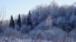 Автономный объектив Sony Cyber-shot DSC-QX10:, фото 43
