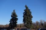 Автономный объектив Sony Cyber-shot DSC-QX100:, фото 78