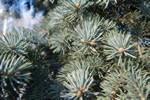 Автономный объектив Sony Cyber-shot DSC-QX100:, фото 84