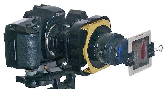 Canon D60